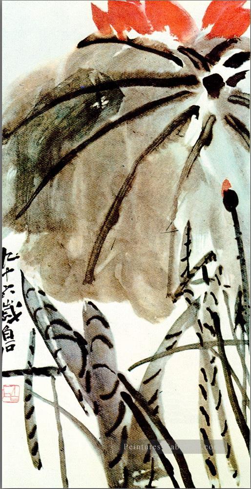 Qi Baishi Lotus ancienne Chine encre Peintures à l'huile